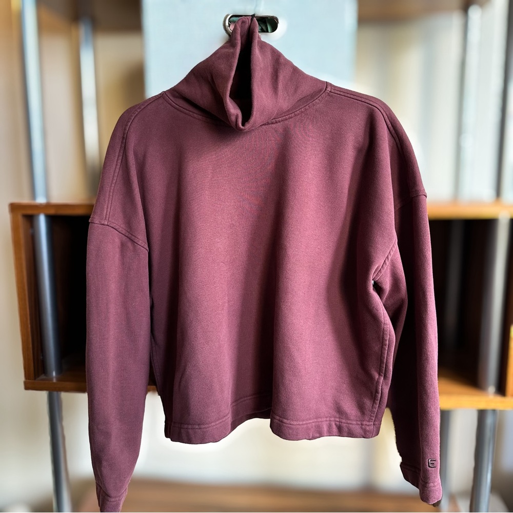 The Turtleneck Sweatshirt by Everlane